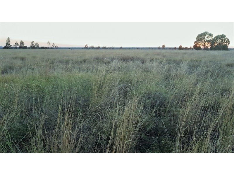 Lot 109 BASSETT LANE, Roma QLD 4455