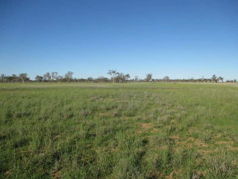 GLENVIEW 414 BINDANGO ROAD, Hodgson QLD 4455