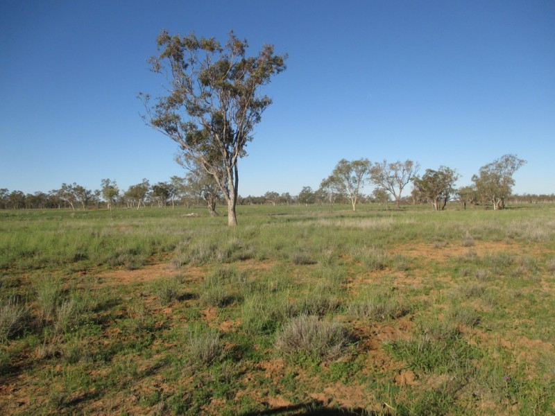 GLENVIEW 414 BINDANGO ROAD, Hodgson QLD 4455