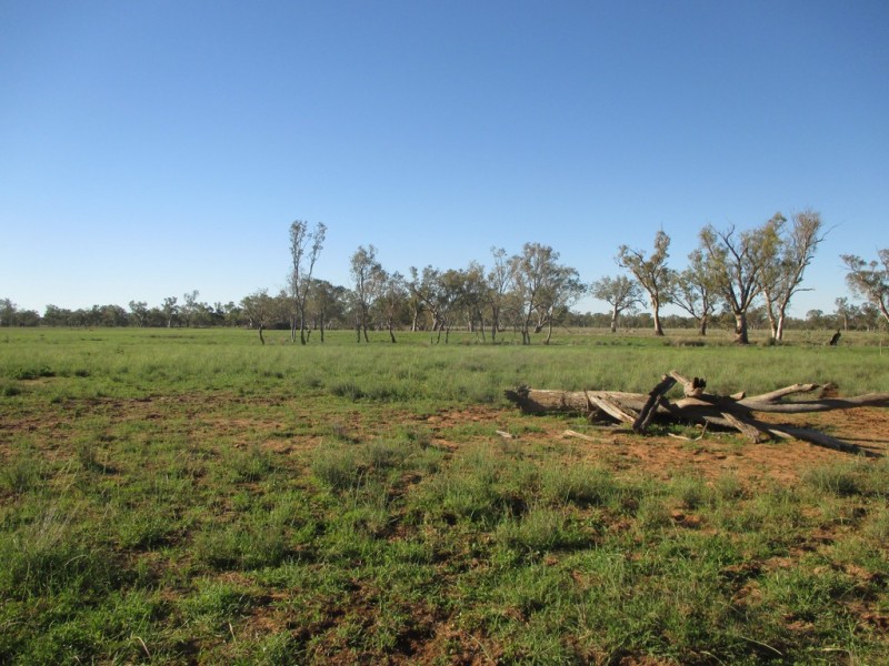 GLENVIEW 414 BINDANGO ROAD, Hodgson QLD 4455