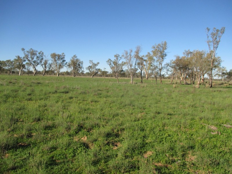 GLENVIEW 414 BINDANGO ROAD, Hodgson QLD 4455