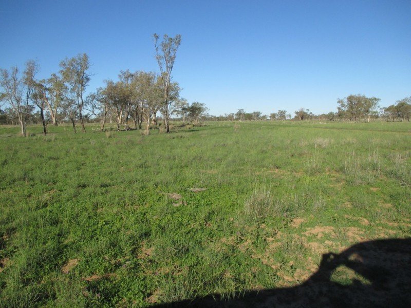 GLENVIEW 414 BINDANGO ROAD, Hodgson QLD 4455