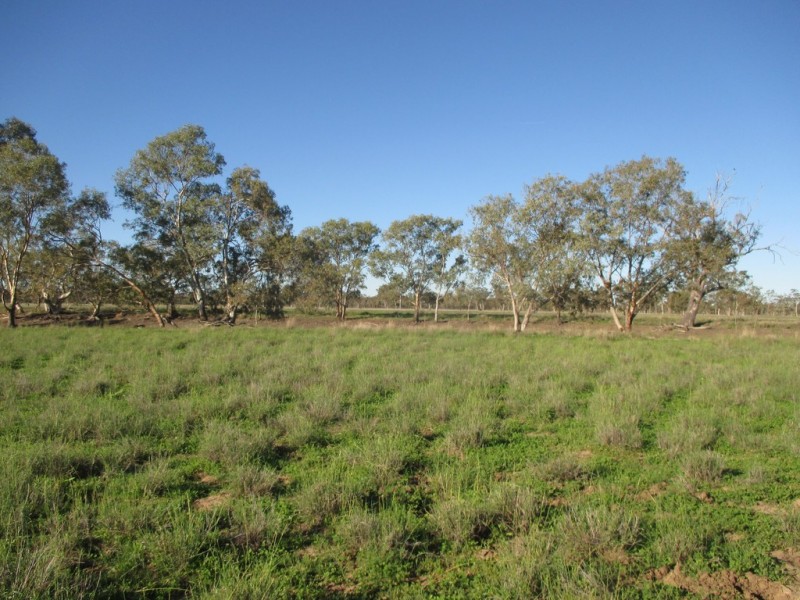 GLENVIEW 414 BINDANGO ROAD, Hodgson QLD 4455