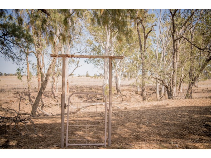 273 WALLUMBILLA NORTH ROAD, Wallumbilla QLD 4428