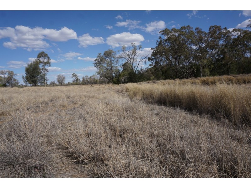 719 RASLIE ROAD, Wallumbilla North QLD 4428