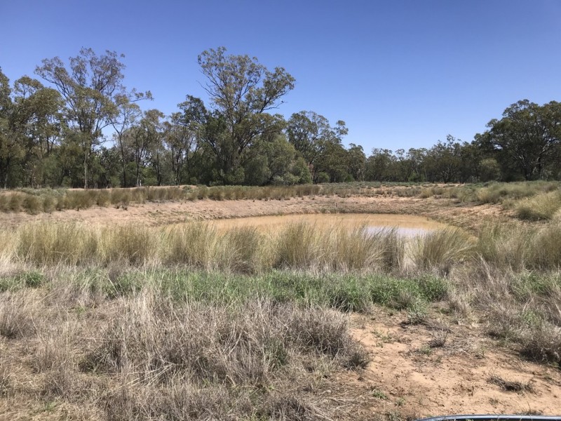 719 RASLIE ROAD, Wallumbilla North QLD 4428