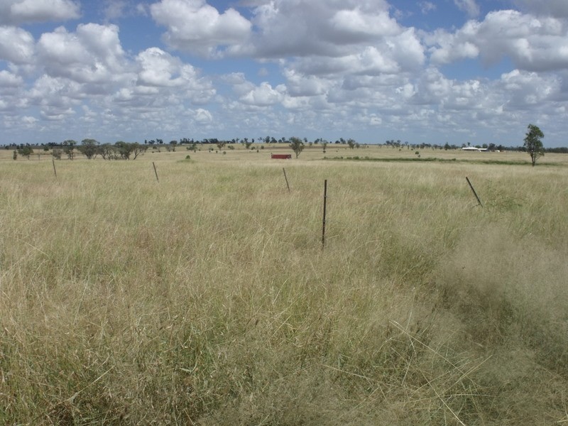 0 Richardsons Lane, Roma QLD 4455