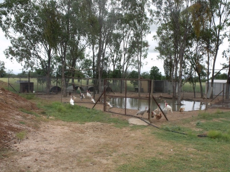 1525 Blue Hills Road, Roma QLD 4455