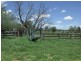 390 CHARLTON BANK, Roma QLD 4455