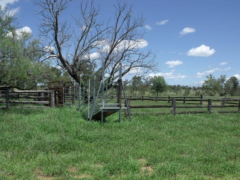 390 CHARLTON BANK, Roma QLD 4455