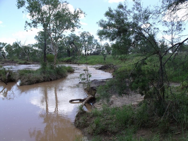 390 CHARLTON BANK, Roma QLD 4455