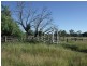 390 CHARLTON BANK, Roma QLD 4455
