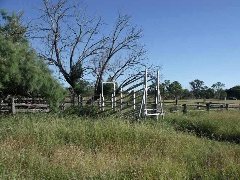 390 CHARLTON BANK, Roma QLD 4455