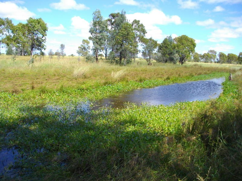 390 CHARLTON BANK, Roma QLD 4455