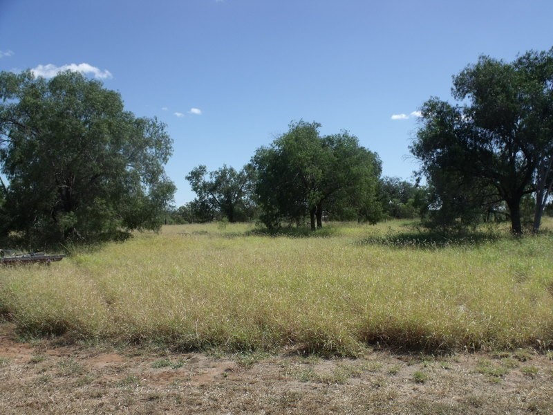 941 Orallo Road, Roma QLD 4455