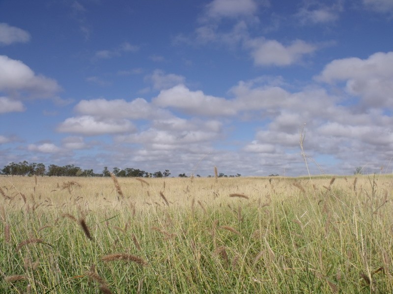 0 ROMA SOUTHERN ROAD, Bungil QLD 4455