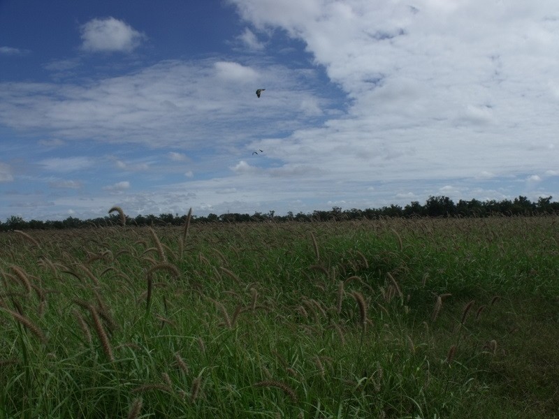 0 WARREGO HIGHWAY, Yuleba QLD 4427