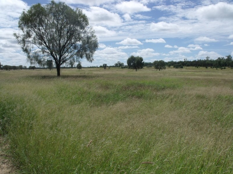 0 WARREGO HIGHWAY, Yuleba QLD 4427