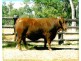 0 “GREEN HILLS”, Tambo QLD 4478