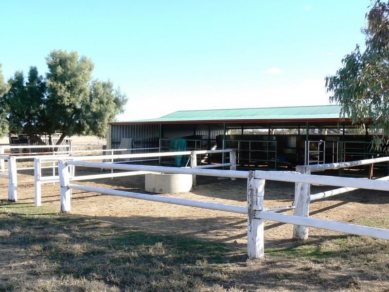 0 “GREEN HILLS”, Tambo QLD 4478