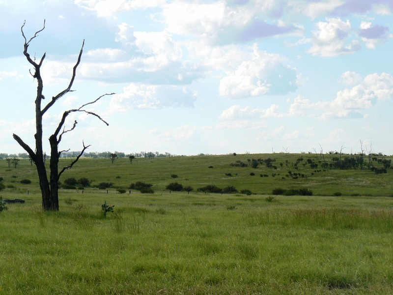 0  “Green Hills”, Tambo QLD 4478