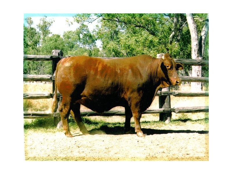 0  “Green Hills”, Tambo QLD 4478