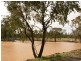0  “Green Hills”, Tambo QLD 4478