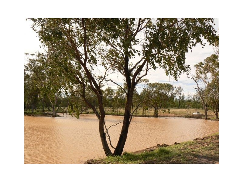 0  “Green Hills”, Tambo QLD 4478