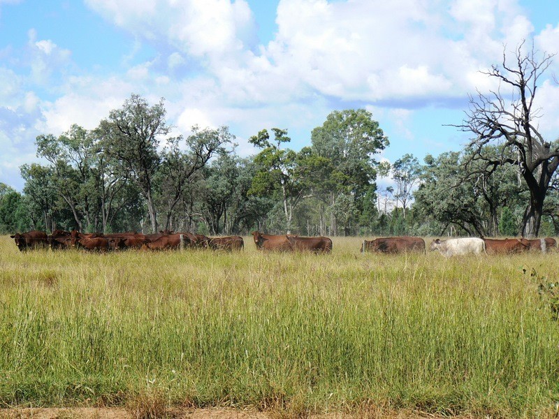 0  “Green Hills”, Tambo QLD 4478