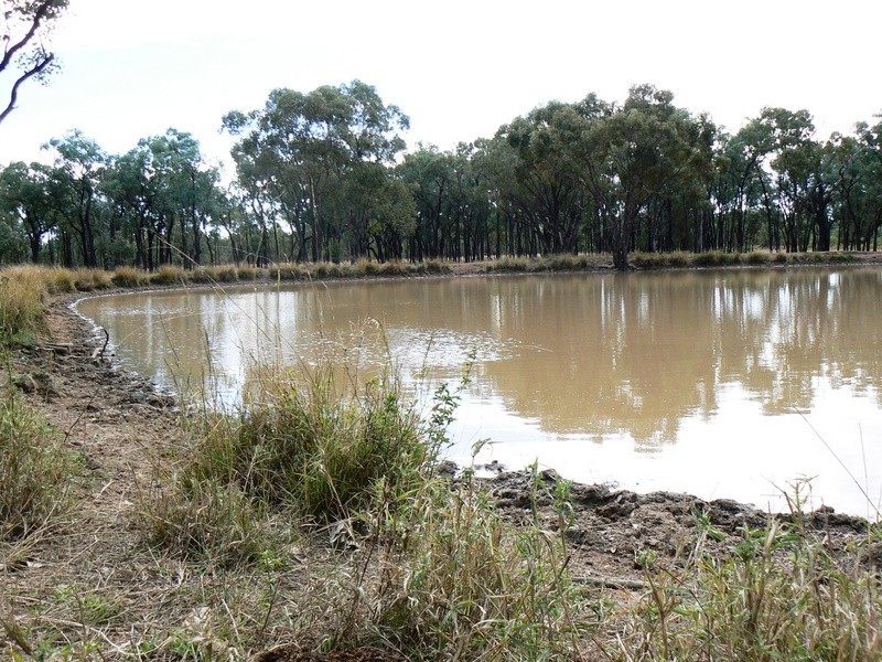 0  “Green Hills”, Tambo QLD 4478