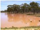 0  “Green Hills”, Tambo QLD 4478