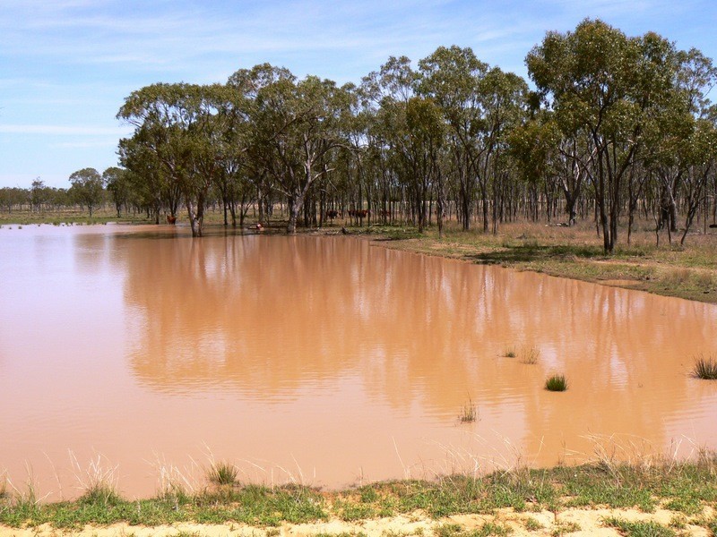 0  “Green Hills”, Tambo QLD 4478