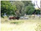 0  “Green Hills”, Tambo QLD 4478