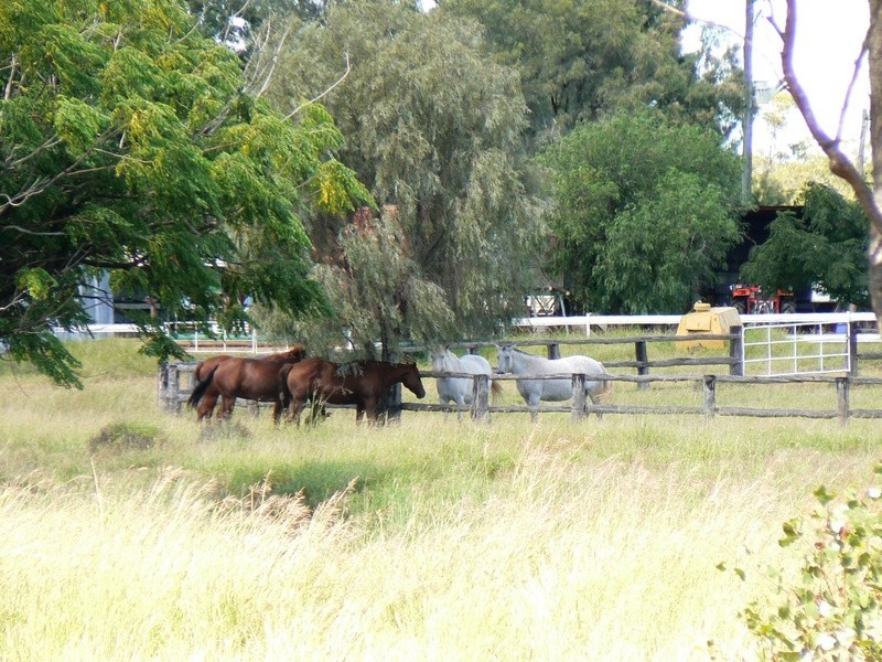 0  “Green Hills”, Tambo QLD 4478