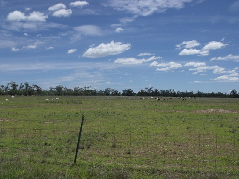 1329 Blue Hills Road, Roma QLD 4455