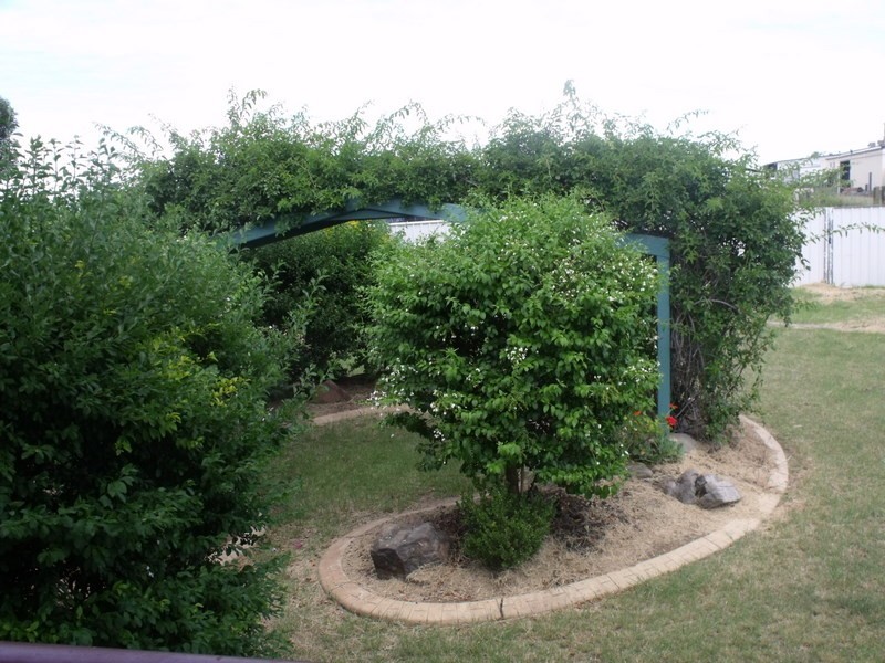 6 Alex Parade, Roma QLD 4455