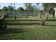 12-16 Edwardes St, Roma QLD 4455