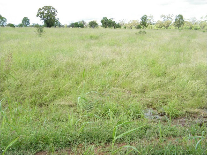 Lot 150  Wallumbilla North Rd, Wallumbilla QLD 4428