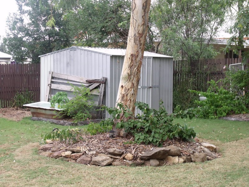 98  Miscamble Street, Roma QLD 4455