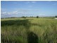 Lot 5 Wallumbilla North Rd, Wallumbilla QLD 4428
