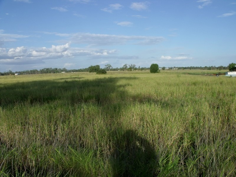 Lot 5 Wallumbilla North Rd, Wallumbilla QLD 4428