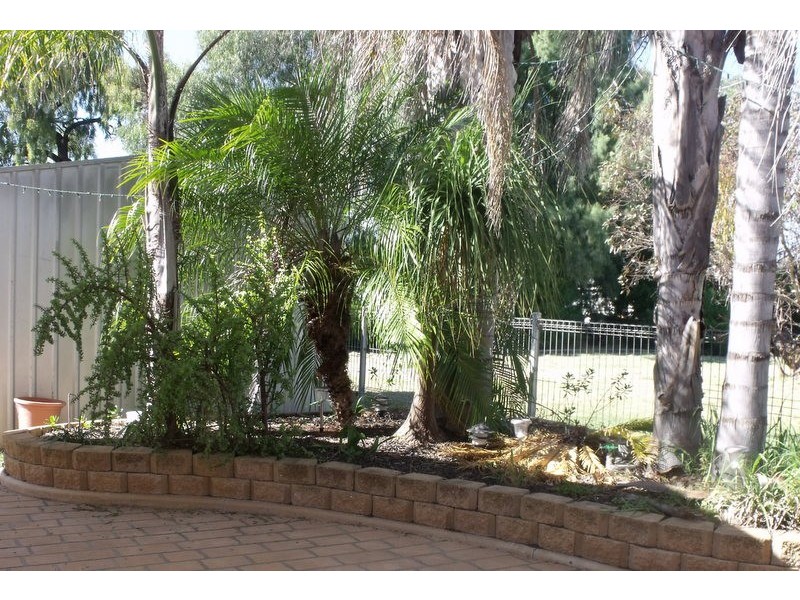 14 Lewis Street, Roma QLD 4455