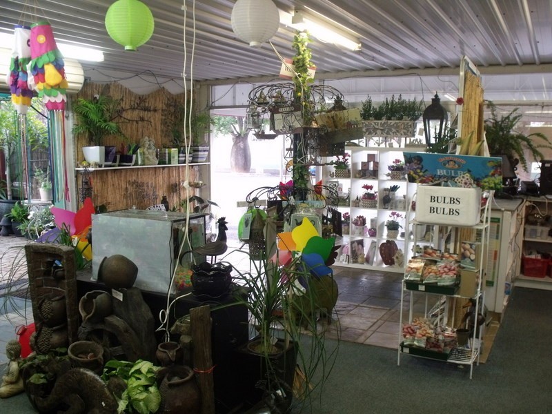 87 Wyndham Street, Roma QLD 4455