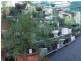 87 Wyndham Street, Roma QLD 4455