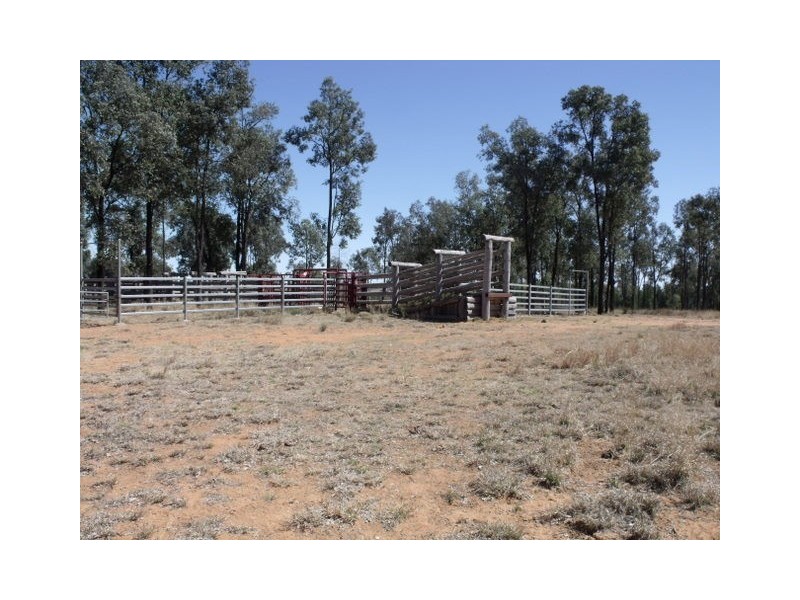 Roma QLD 4455