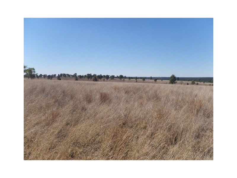 Roma QLD 4455