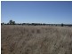 Roma QLD 4455