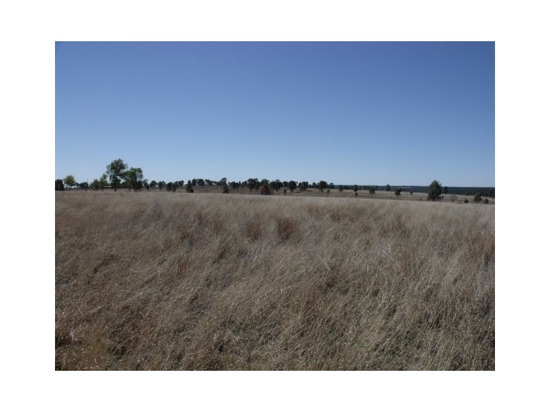 Roma QLD 4455
