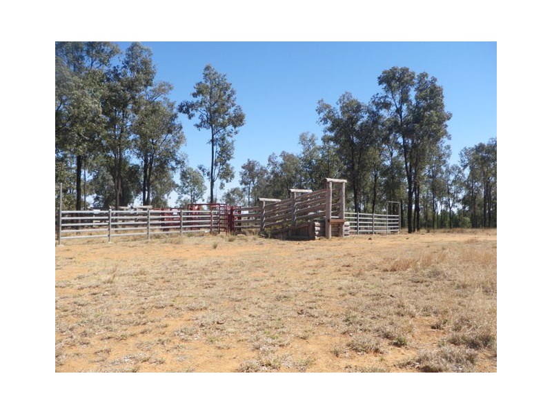 Roma QLD 4455
