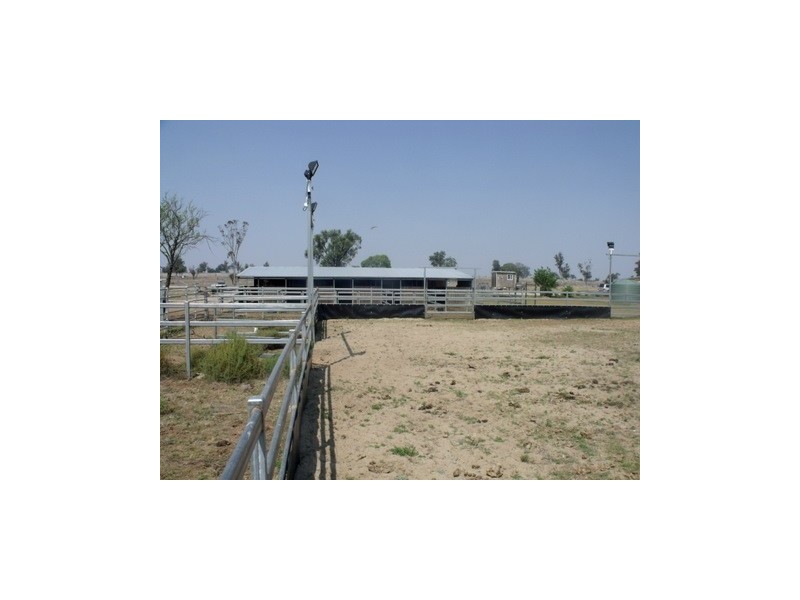 130 Woodside Road, Roma QLD 4455